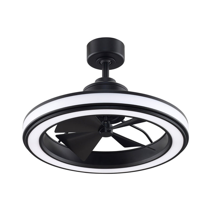 Fanimation FP8404 Gleam 24" Ceiling Fan with LED Light Kit