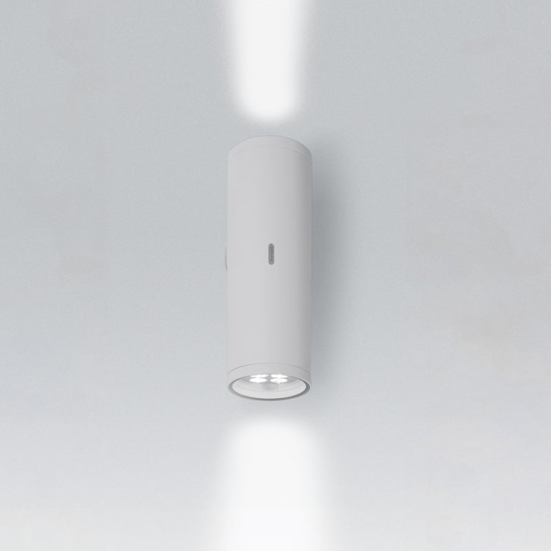 Artemide Calumet 13 Double LED Outdoor Wall Light