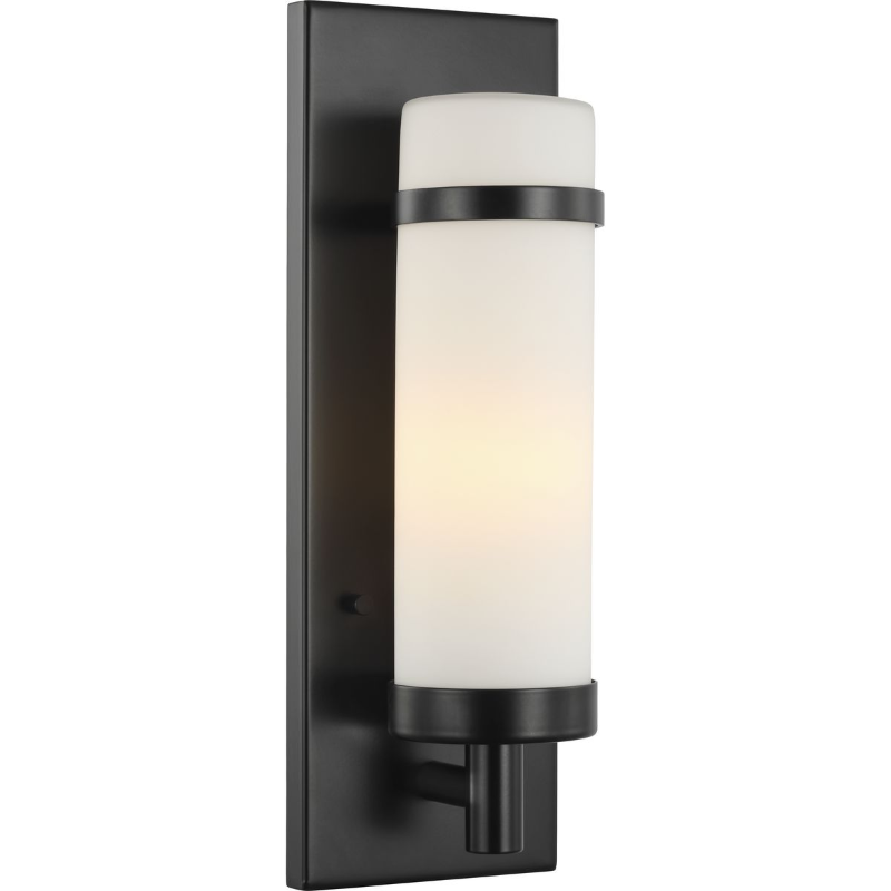 Progress P710087 Hartwick 1-lt 14" Tall Wall Sconce