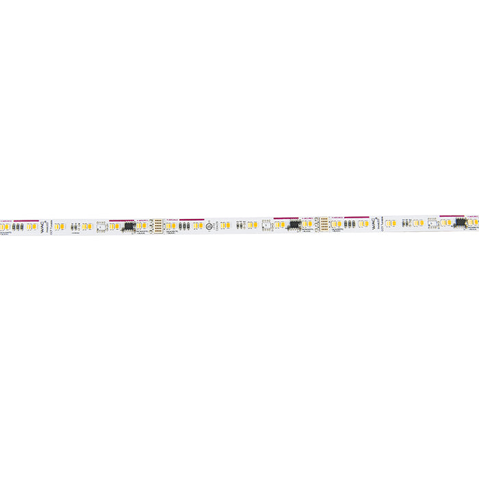 WAC T24-TW3-01-1850 InvisiLED Tunable White 1-ft 1800K-5000K CCT Adjustable Tape Light