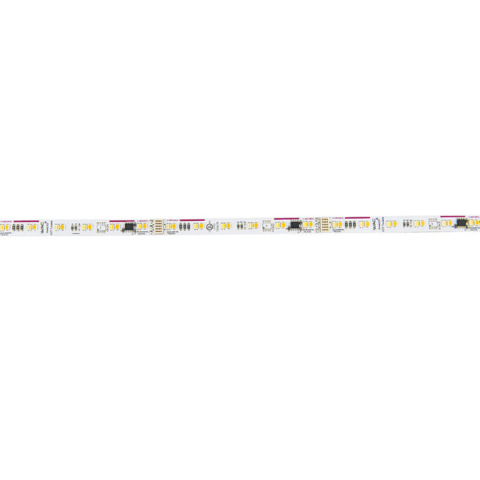 WAC T24-TW3-05-1850 InvisiLED Tunable White 5-ft 1800K-5000K CCT Adjustable Tape Light