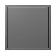 Adorne ARPTR152G 15A Two-Gang Pop-Out Outlet - Magnesium