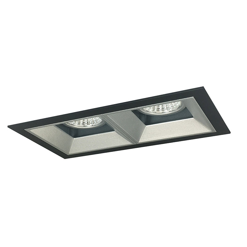Nora NMIOT-12-FF Iolite MLS Flanged Two Head Fixed Downlight Trim