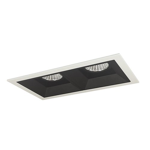 Nora NMIOT-12-FF Iolite MLS Flanged Two Head Fixed Downlight Trim