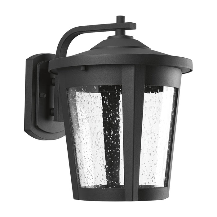 Progress P6079 East Haven 10" Wide Outdoor LED Wall Lantern