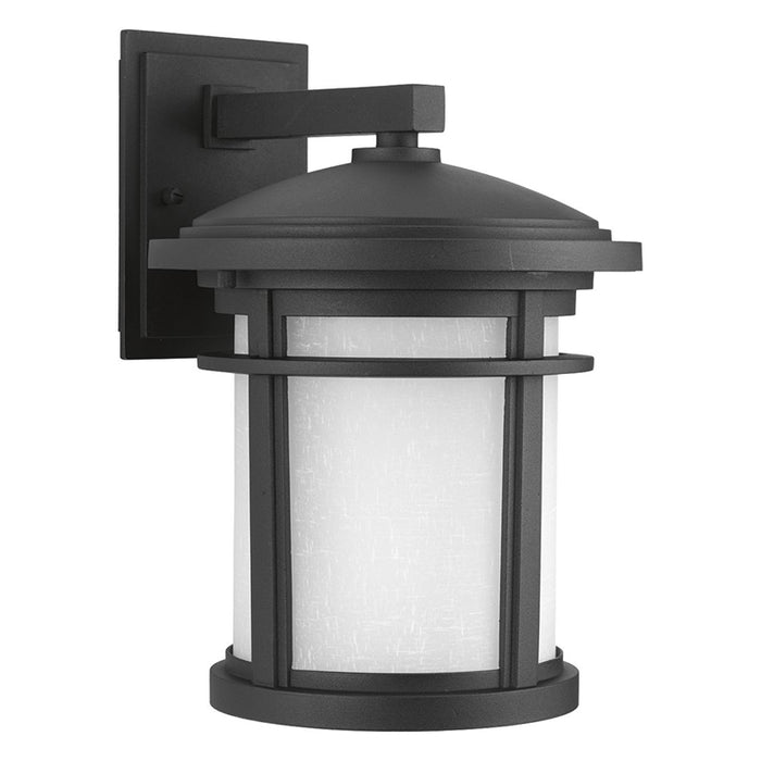 Progress P6085 Wish 9" Wide Outdoor LED Wall Lantern