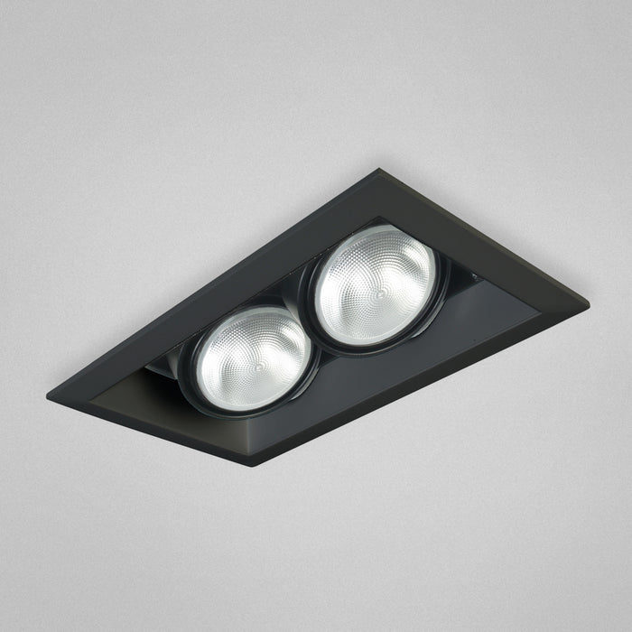 Eurofase TE-132 2-lt PAR30 Multiple Recessed Trim