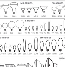 What Light Bulb Do I Have?