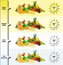 Light Bulb Color Temperature Guide