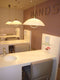 Salon Lighting