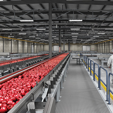 Food Processing Lighting