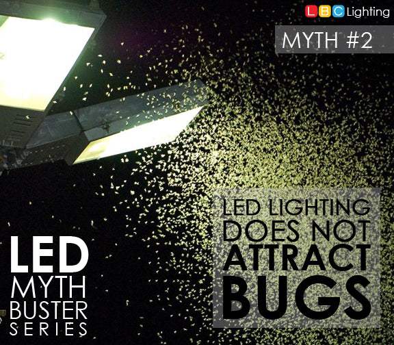 Myth Buster: LED doesn’t attract bugs | LED