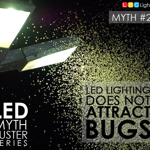 Myth Buster: LED doesn’t attract bugs