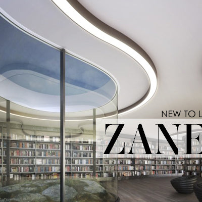 Introducing: Zaneen