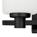 Hinkley 54622 Karlie 2-lt 13" LED Bath Light - Black