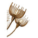 Savoy House 1-6912-12 Protea 12-lt 40" Chandelier