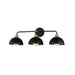 Maxim 10023 Thelonious 3-lt 31" Bath Vanity