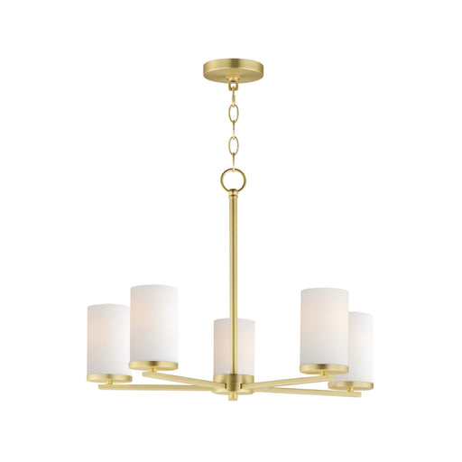 Maxim 10286 Lateral 5-lt 24" Chandelier-Satin Brass