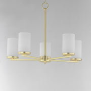Maxim 10286 Lateral 5-lt 24" Chandelier
