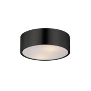 Maxim 10494 Tommy 2-lt 12" Flush Mount-Black