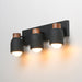 Maxim 10623 Pompeii 3-lt 21" Vanity - Lava / Black