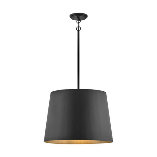 Hinkley 11154 Alder 1-lt 20" LED Outdoor Pendant - Black