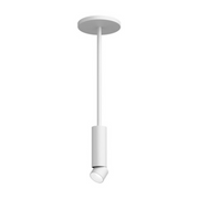 ENTRA 2" 12W Adjustable LED Cylinder, Warm Dim, Pendant Mount - White