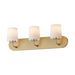 Maxim 12893 Durham 3-lt 24" Vanity - Natural Aged Brass