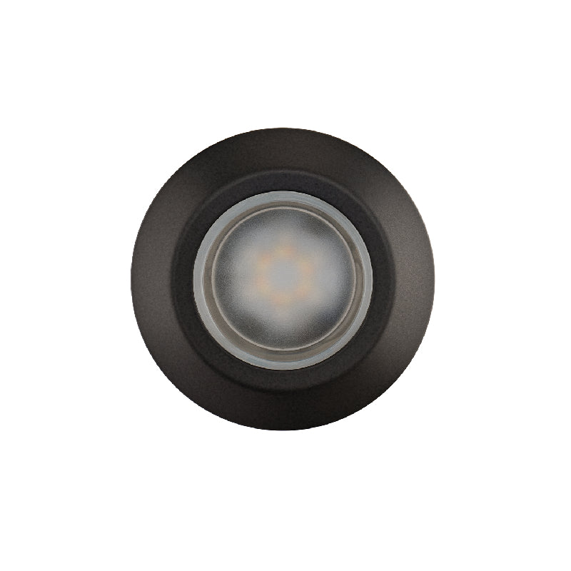 WAC 2021 2" LED Colorscaping Inground Round Light- Bronze