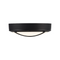 Access 20255 Meridian 1-lt 11" LED Outdoor Flush Mount