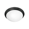 Access 20626 Cobalt 2-lt 15" Flush Mount