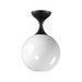 Maxim 21229 Neve 1-lt 9" Semi-Flush Mount - Black