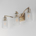 Maxim 21373 Rigata 3-lt 23" Bath Vanity-Satin Champagne