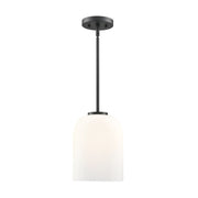 Millennium 214101 Laphia 1-lt 8" Pendant - Matte Black