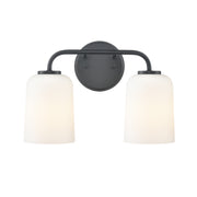 Millennium 214202 Laphia 2-lt 14" Vanity Light - Matte Black