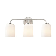 Millennium 214203 Laphia 3-lt 22" Vanity Light - Brushed Nickel