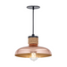Maxim 22492 Bingham 1-lt 10" Pendant - Copper