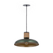 Maxim 22494 Bingham 1-lt 17" Pendant - June Bug