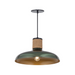 Maxim 22494 Bingham 1-lt 17" Pendant - June Bug