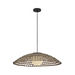 Hinkley 10395-LV Arlen 1-lt 30" LED Outdoor Pendant