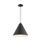 Access 23781 Ford 1-lt 14" LED Pendant