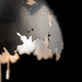Hubbardton Forge 272103 Pangea 2-lt 23" Tall Table Lamp