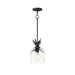 Maxim 2871 Paloma 1-lt 8" Pendant-Anthracite-Anthracite
