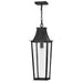 Hinkley 28892 Georgetown 1-lt 9" LED Hanging Lantern - Black