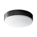 Oxygen 3-624 Journey 2-lt 14" LED Flush Mount - Black