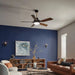 Kichler 330057 Guardian 54" Ceiling Fan with LED Light Kit