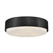 Hinkley 30075 Cedric 3-lt 18" LED Flush Mount - Black