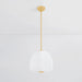 Hudson Valley 3015 Scranton 1-lt 15" LED Pendant - Aged Brass