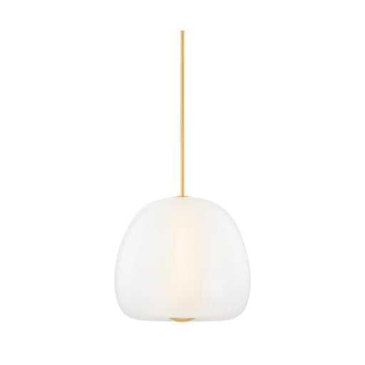 Hudson Valley 3019 Scranton 1-lt 19" LED Pendant - Aged Brass