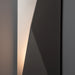 Hubbardton Forge 302044 Carbon 2-lt 62" Tall Outdoor Wall Sconce
